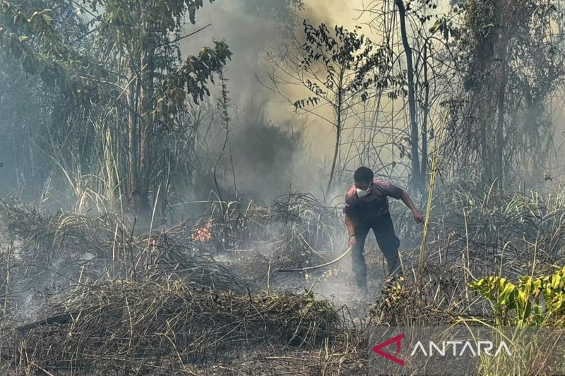 Upaya pemadaman Karhutla di Kabupaten Nabire, Sabtu (22/8/2026). ANTARA/Ali Nur Ichsan