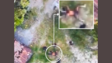 tni-polri-tembak-mati-5-anggota-kkb-intan-jaya