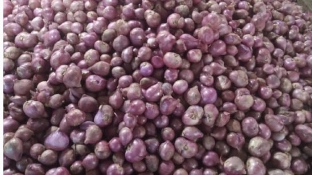 pasca-lebaran-harga-bawang-merah-alami-kenaikan