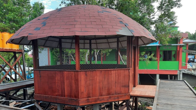 pemkab-mimika-buka-penyewaan-honai-kuliner-ekowisata-hutan-mangrove