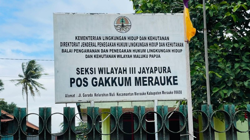 pemilik-kayu-ilegal-di-merauke-ditetapkan-tersangka