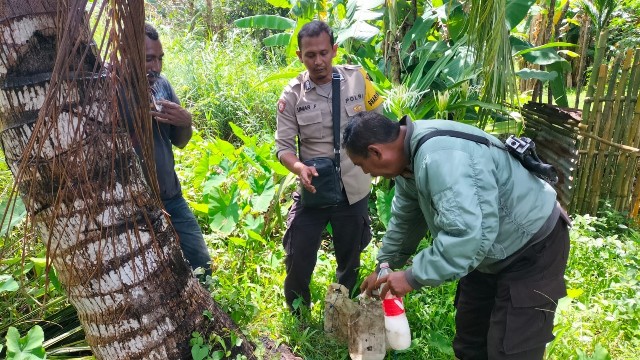 terjaring-razia-sopi-21-warga-merauke-kena-teguran-polisi