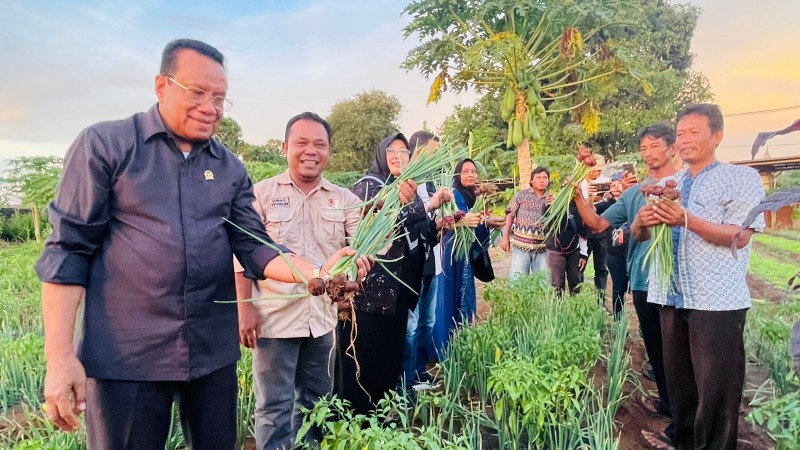 sulaeman-l-hamzah-janji-perhatikan-petani-bawang-merah-merauke
