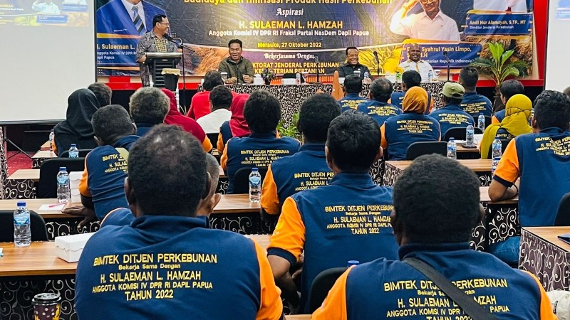 petani-merauke-ikuti-bimtek-budidaya-perkebunan