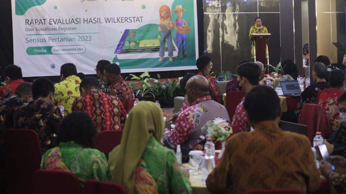 regsosek-di-papua-baru-22-persen