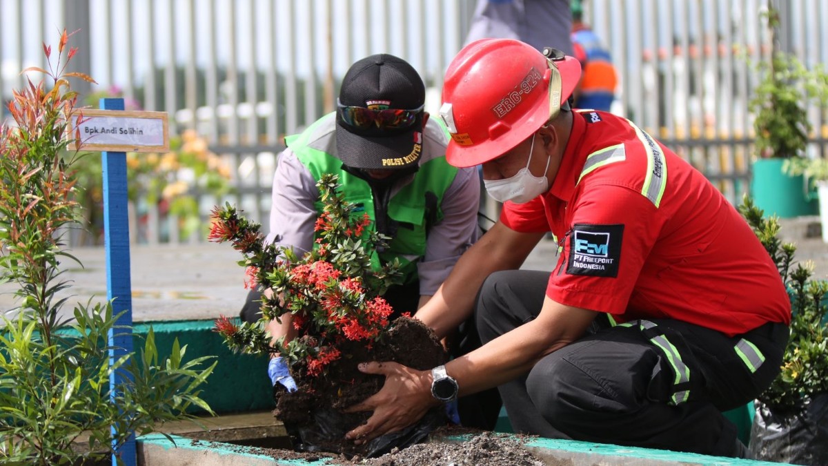 rayakan-hari-cinta-puspa-dan-satwa-pt-freeport-ajak-karyawan-tanam-pohon