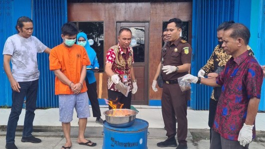 bnnk-mimika-musnahkan-sinte-12266-gram