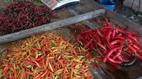 harga-cabai-melonjak-di-timika