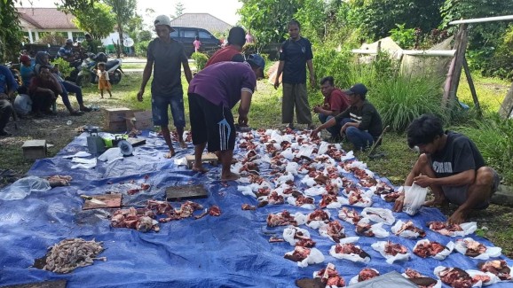 ikatan-keluarga-lombok-sembelih-sapi-kurban-bantuan-pemkab-mimika