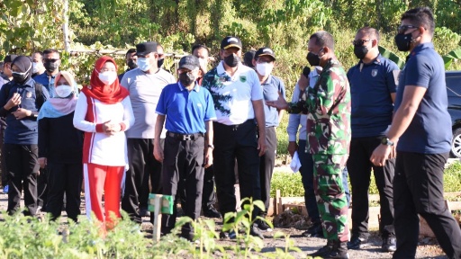 Wapres RI Ma'ruf Amin meninjau kebun wisata dan ketahanan pangan 'Kasuari Green' Kodam XVIII/Kasuari, Jumat (15/10/2021).. Foto: Pendam XVIII Kasuari