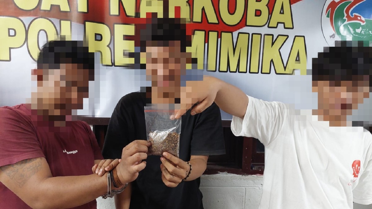 kasus-tembakau-sintetis-polisi-tangkap-tiga-pemuda-di-timika