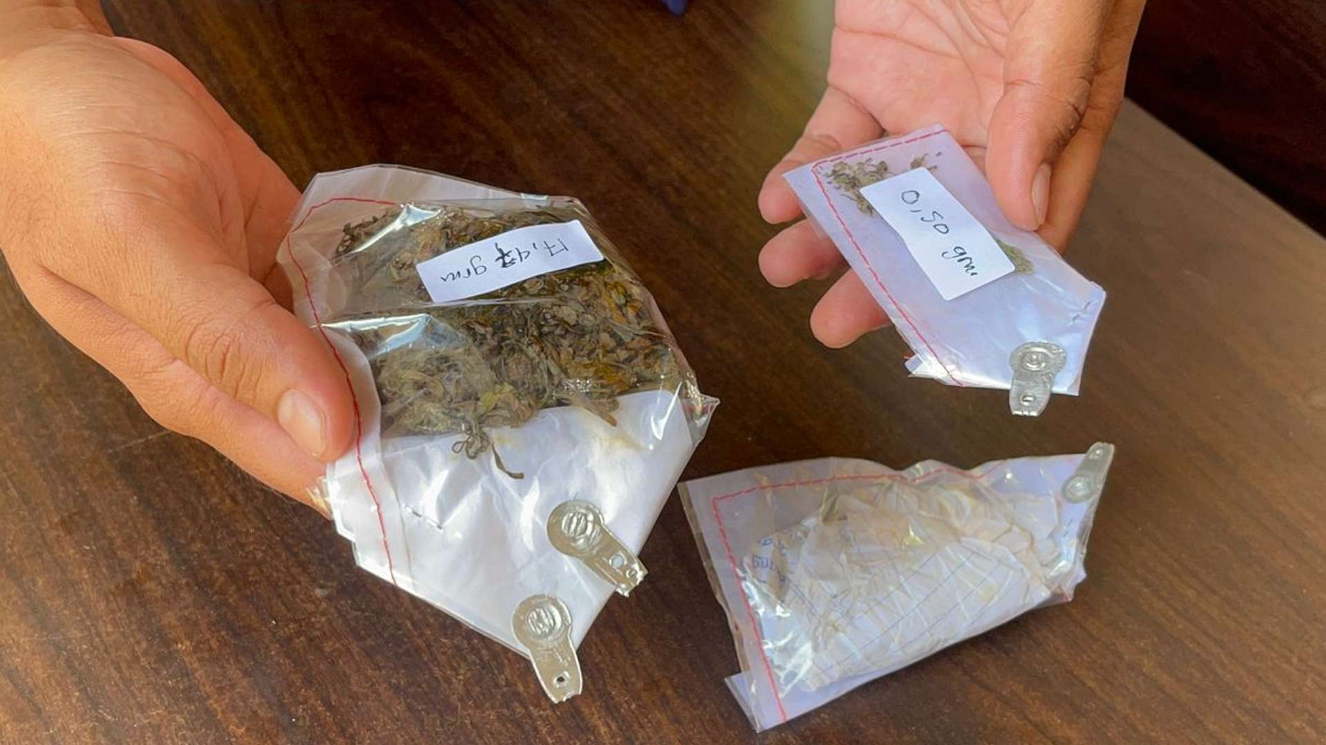 bawa-ganja-25-paket-seorang-pelajar-di-merauke-ditangkap-polisi