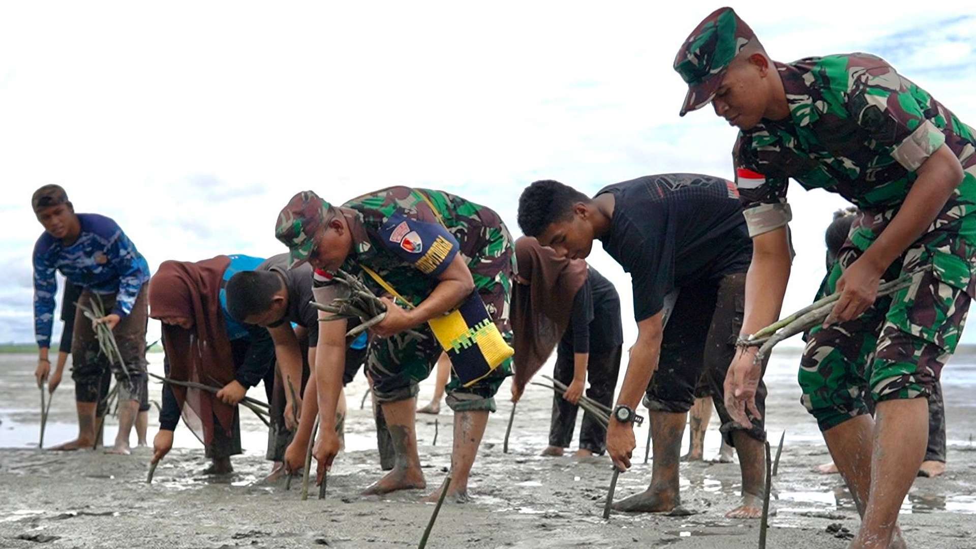 lanud-yohanis-kapiyau-gandeng-pt-freeport-tanam-2500-mangrov-di-muara-sungai-ajikwa