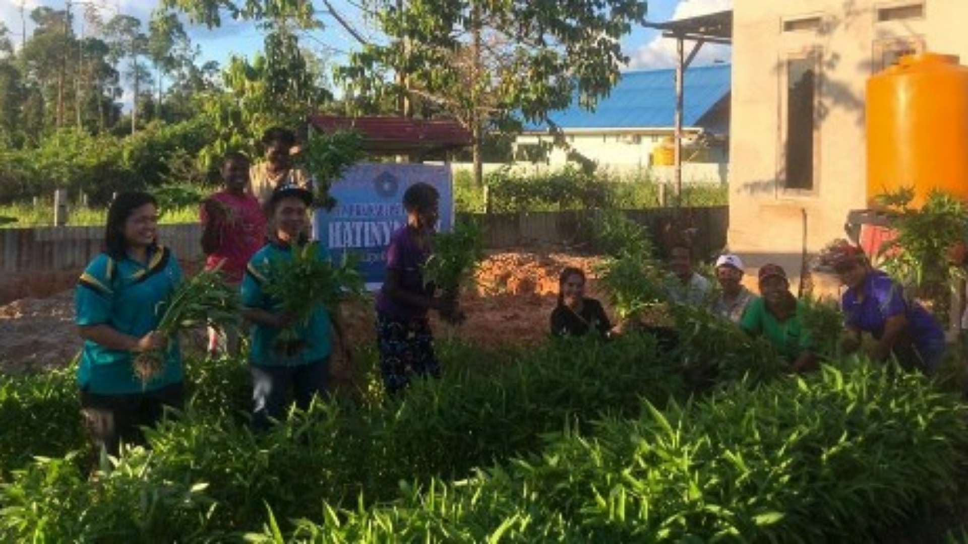 tp-pkk-mappi-panen-perdana-sayuran-kelompok-tani-gaibkinibi