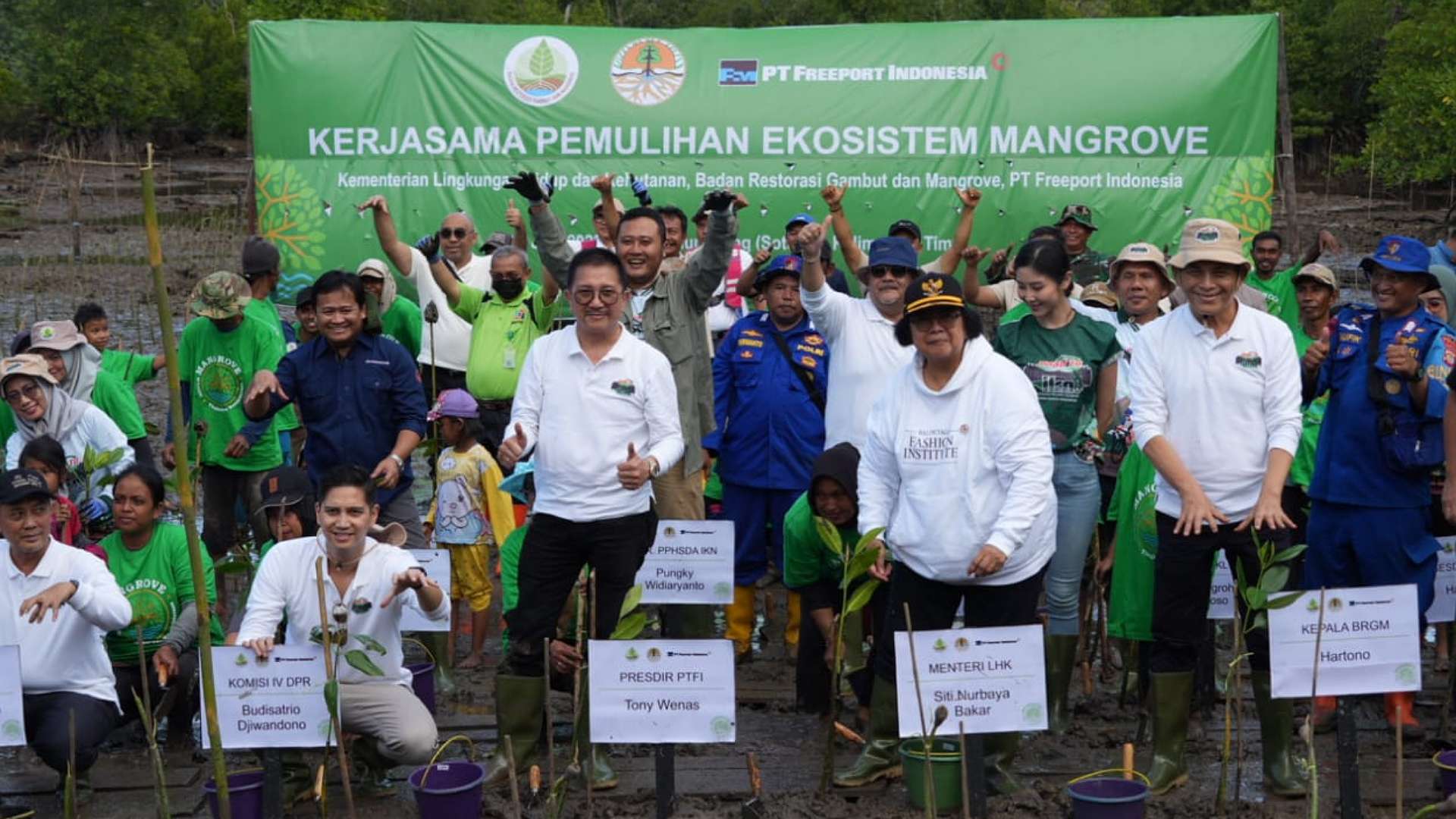 klhk-brgm-dan-freeport-indonesia-rehabilitasi-2000-hektar-lahan-mangrove-di-kaltim