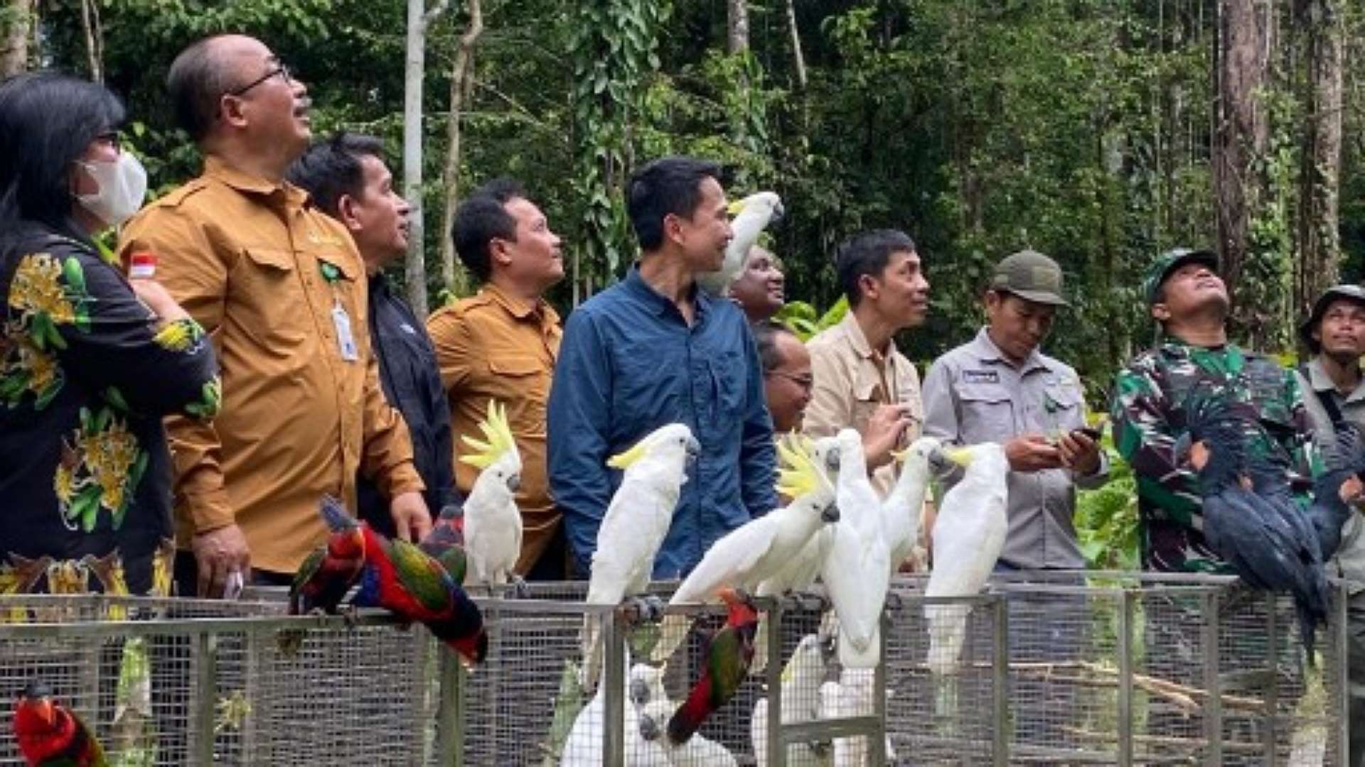 pt-freeport-kembali-lepas-liarkan-puluhan-burung-endemik-papua
