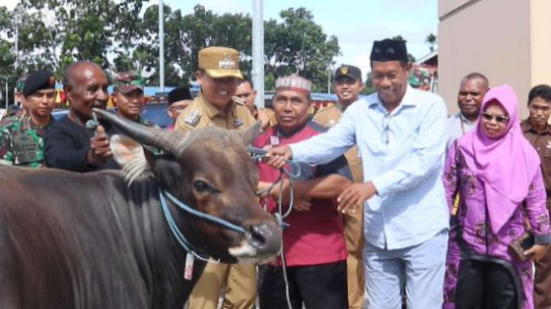 pj-bupati-mimika-serahkan-bantuan-32-ekor-sapi-kurban