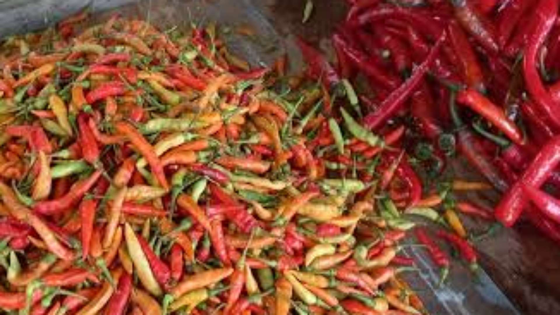 harga-cabai-berangsur-turun