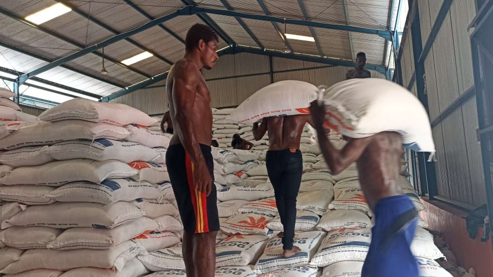 stok-beras-di-gudang-bulog-timika-300-ton-masih-aman