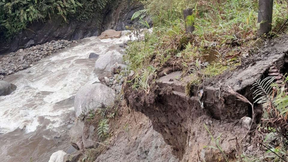 dampak-jembatan-putus-pemkab-mimika-sewa-helikopter-kirim-2000-paket-bama