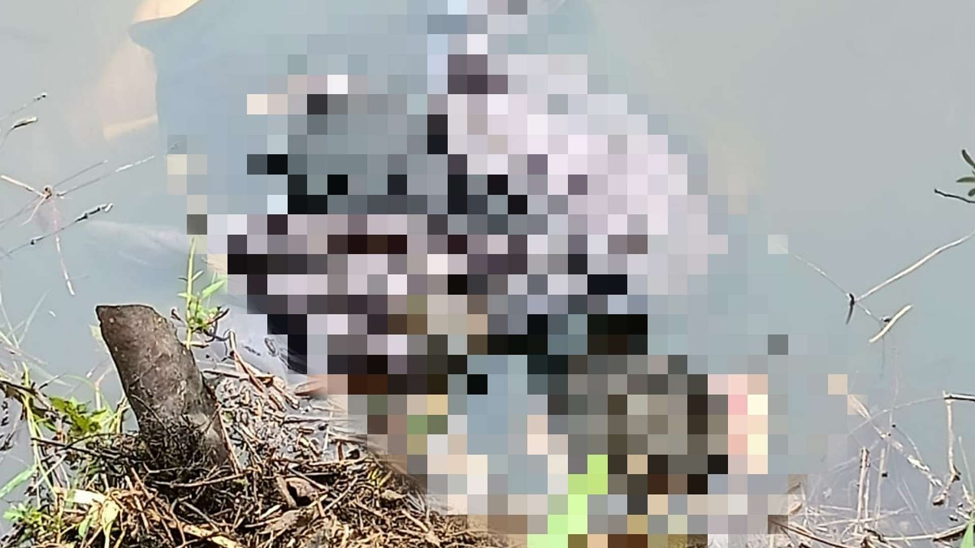 seorang-ojek-meninggal-dengan-luka-bacok-di-kolam-bekas-galian-c-kampung-ninabua