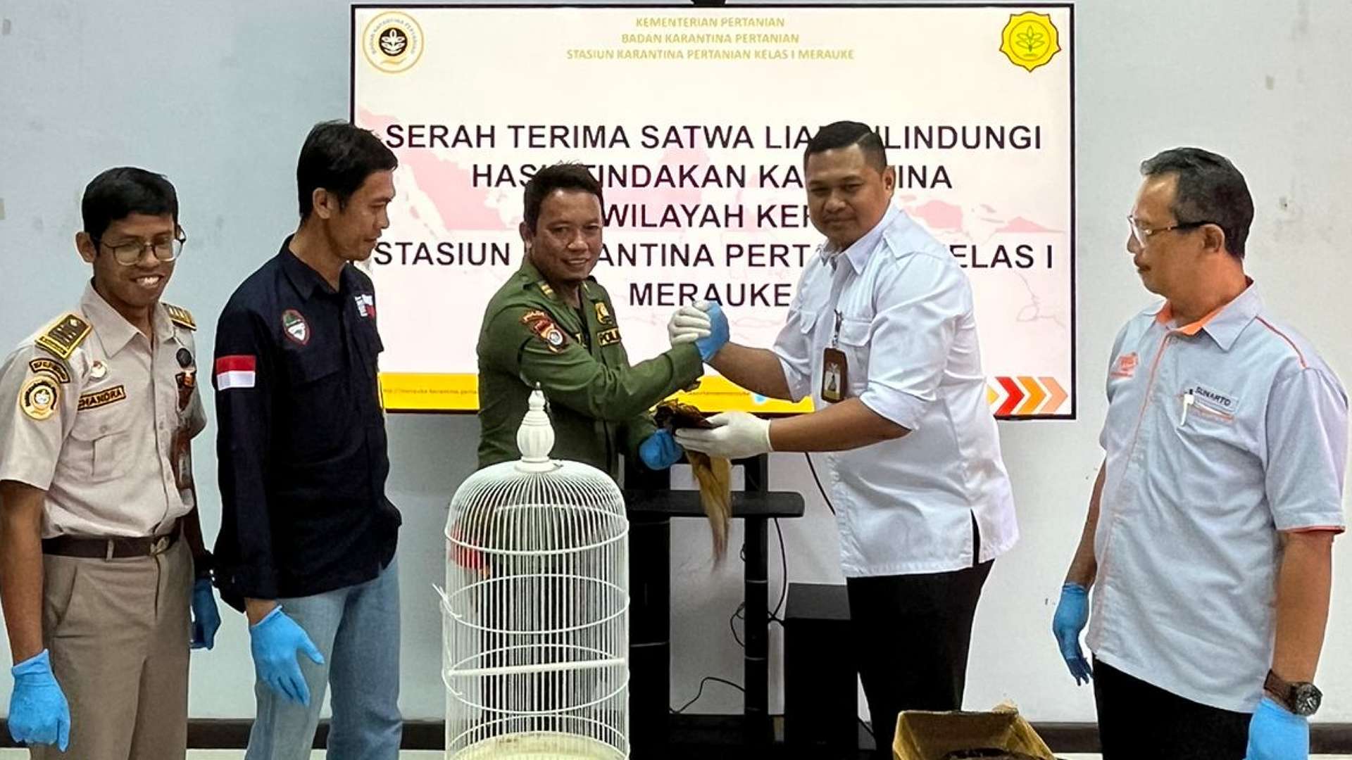 karantina-merauke-gagalkan-penyeludupan-lima-ekor-awetan-cenderawasih