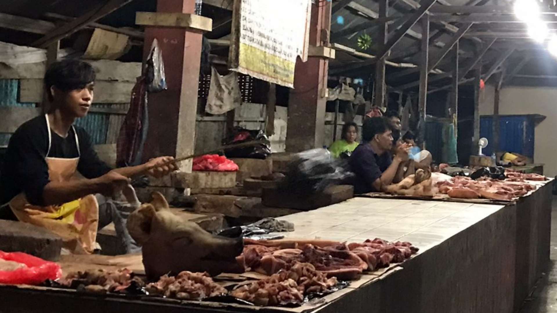ini-penyebab-turunnya-harga-daging-babi-pasar-sentral-timika
