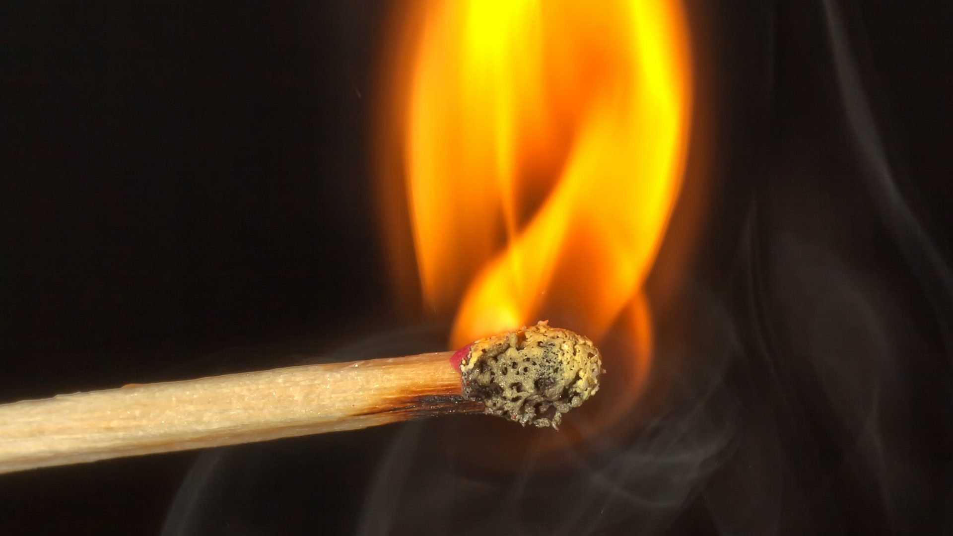 polisi-tangkap-pelaku-pembakaran-kantor-bupati-kementerian-agama-jayapura