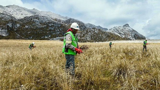 pt-freeport-hijaukan-kembali-kawasan-bekas-tambang-terbuka-grasberg