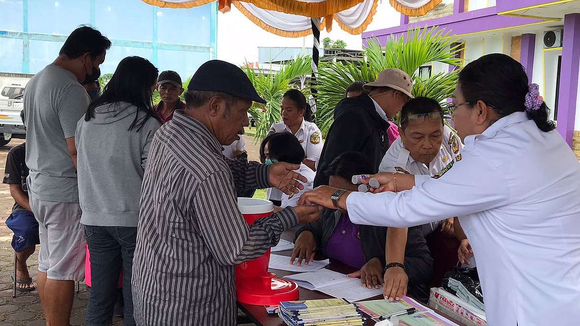 tekan-kematian-ternak-babi-disnakeswan-siapkan-5000-serum-konvalesan