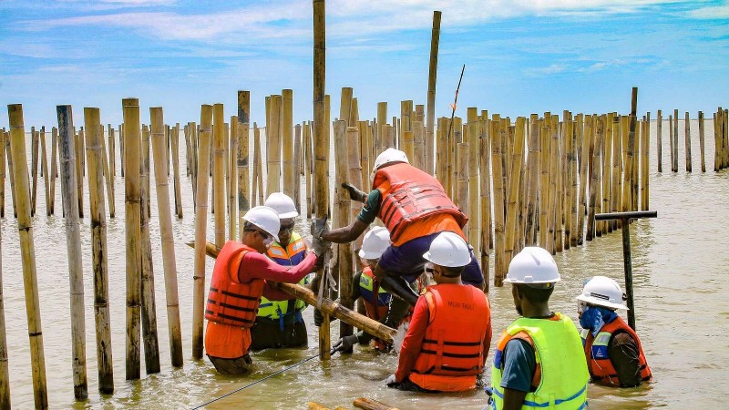 estuary-structure-project-pt-freeport-libatkan-masyarakat-adat