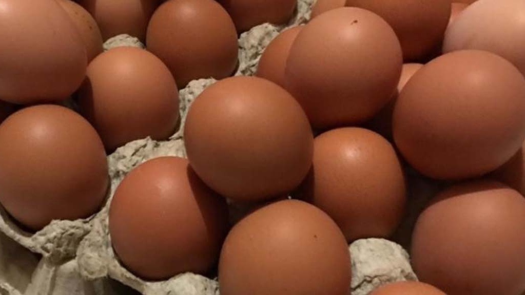 disnakeswan-pastikan-stok-telur-ayam-daging-sapi-cukup-jelang-ramadan