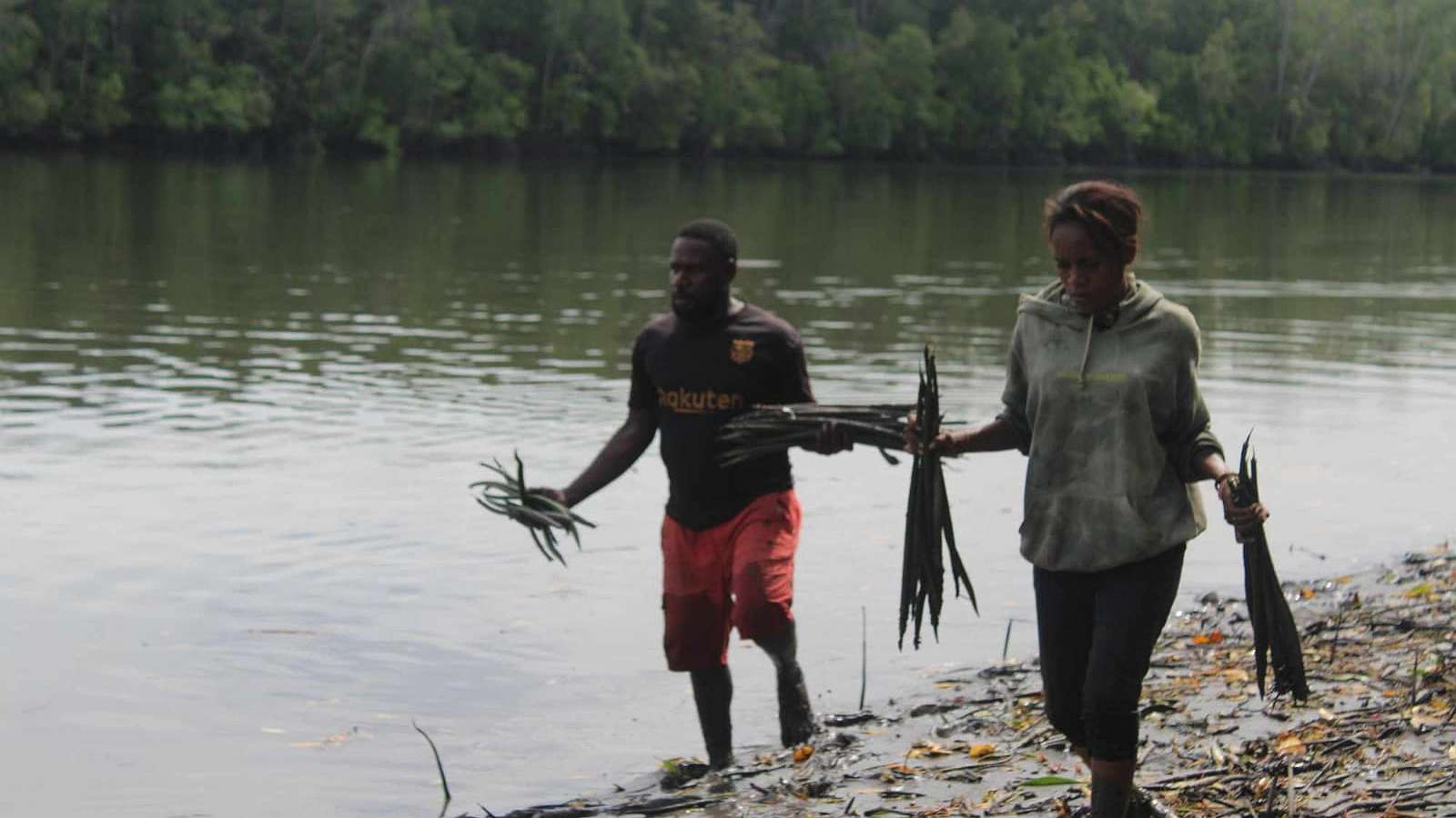 upaya-lepemawi-meminimalisir-dampak-tailing-di-pesisir-timur-mimika
