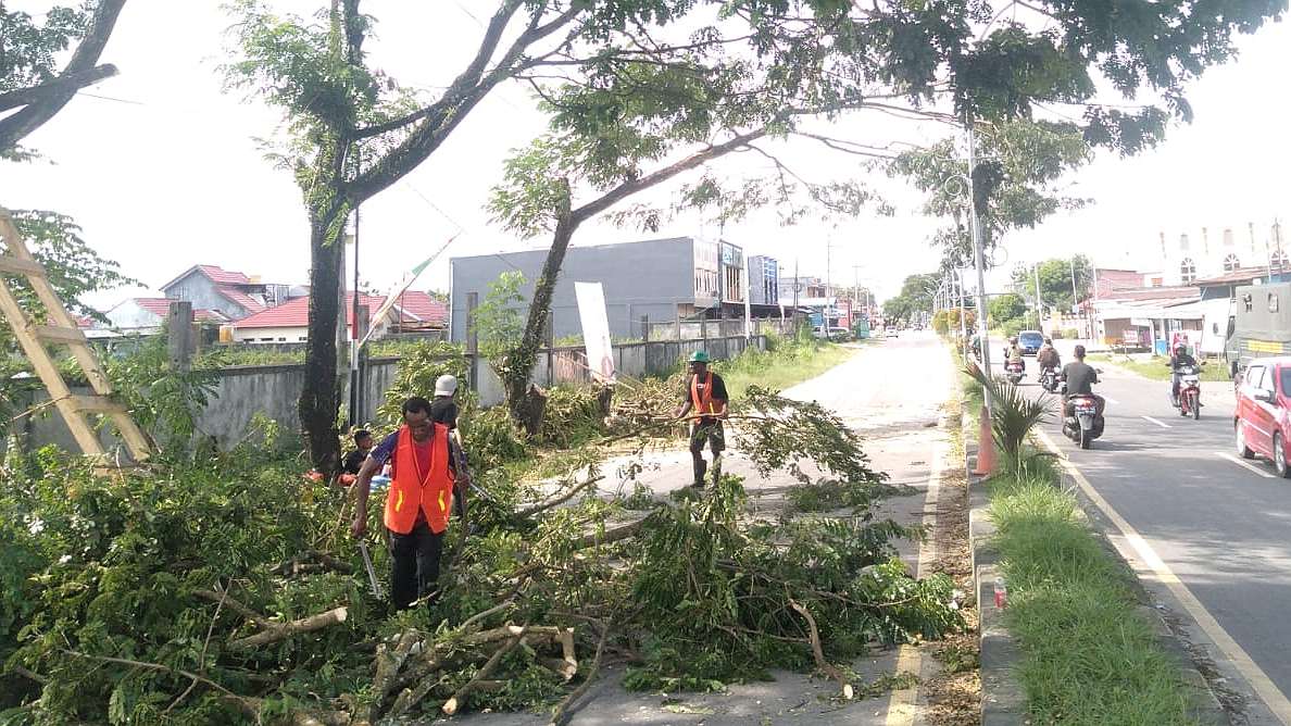 Aktivitas pemangkasan ranting pohon oleh Bina Marga Dinas PUPR Kabupaten Mimika. Foto:Martha/Papua60detik