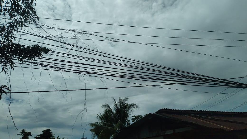 Kondisi kabel di sepanjang Jalan Cendrawasih. Foto: Martha/Papua60detik