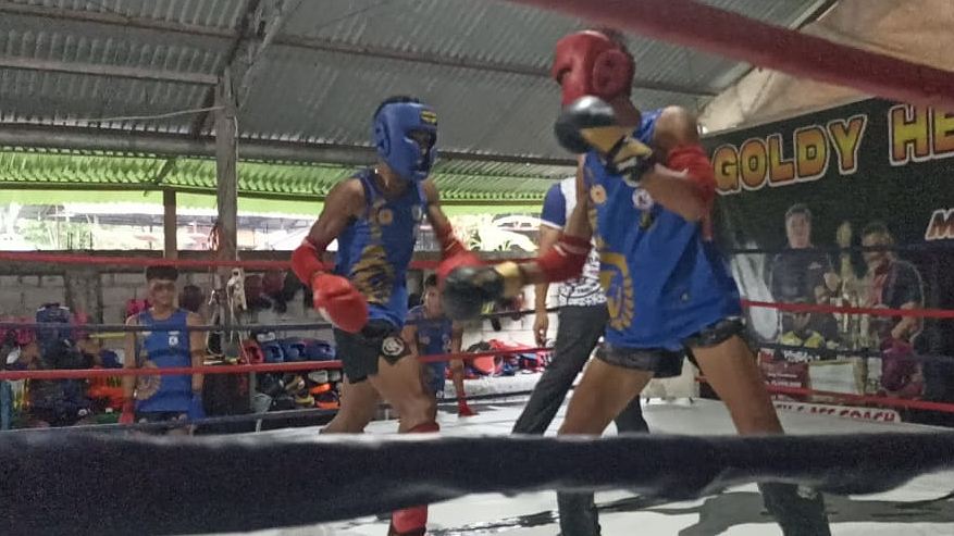Para atlet Muaythai berlatih untuk menghadapi PON XXI Aceh - Sumut 2024. Foto: Eka/Papua60detik