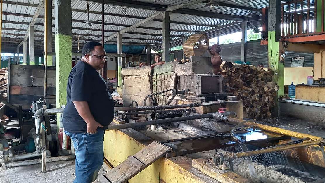 papua-kaya-hutan-sagu-tapi-budidaya-padi-dimasifkan-belajar-dari-meranti-riau